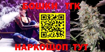 прущие крисы Камышлов