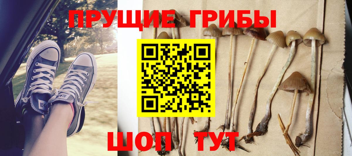 Кострома  Псилоцибиновые грибы прущие грибы  Псилоцибиновые грибы прущие грибы  магазин    Вход с VPN 